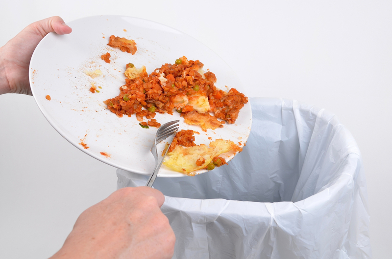 waste waste  / obvious waste